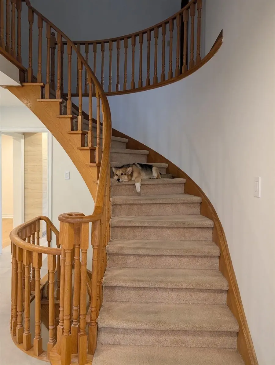 Staircase before sanding and refinishing in Mississauga