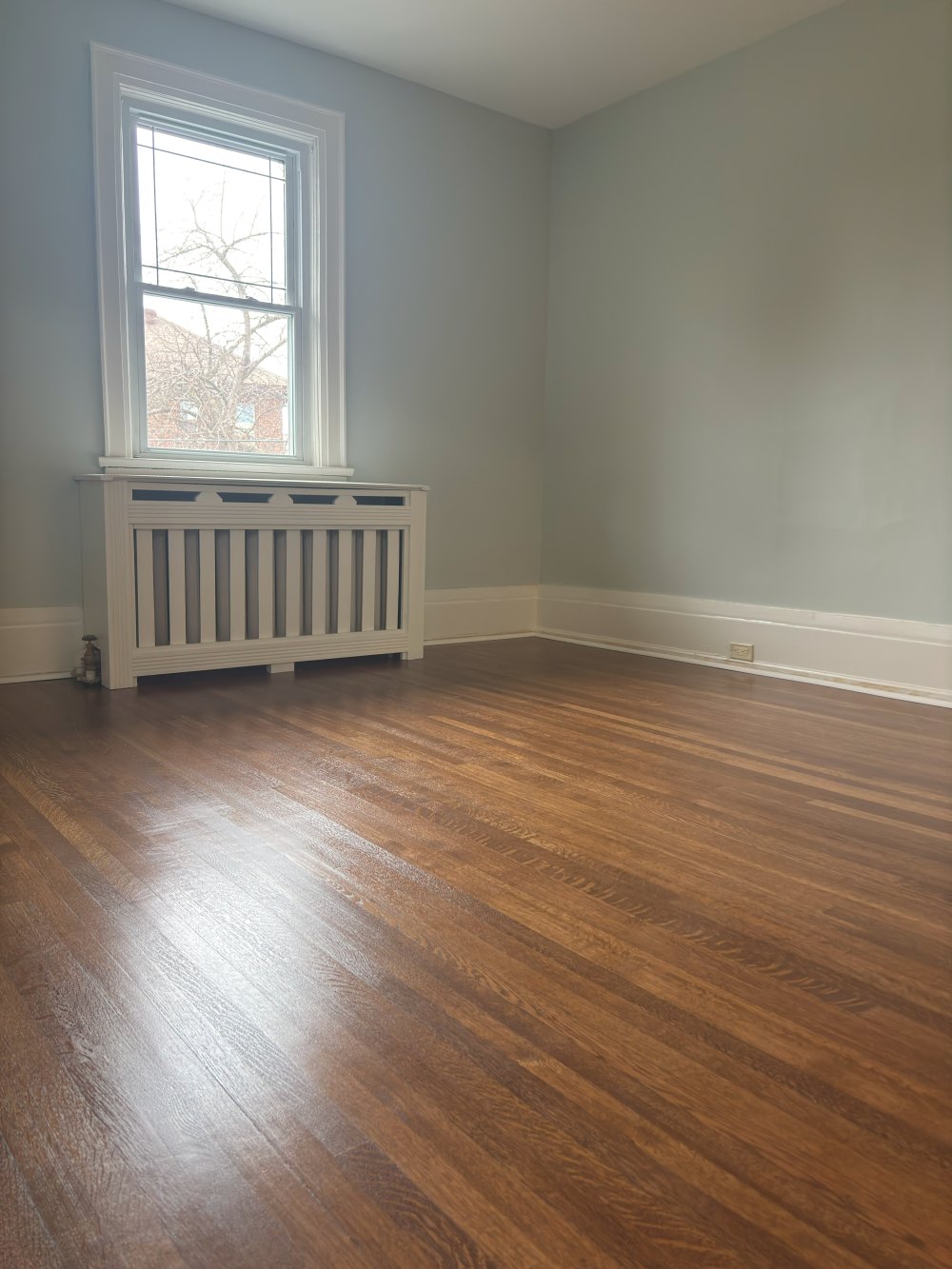 Hardwood floor resanded, stained and finished with three water-based coats in the GTA