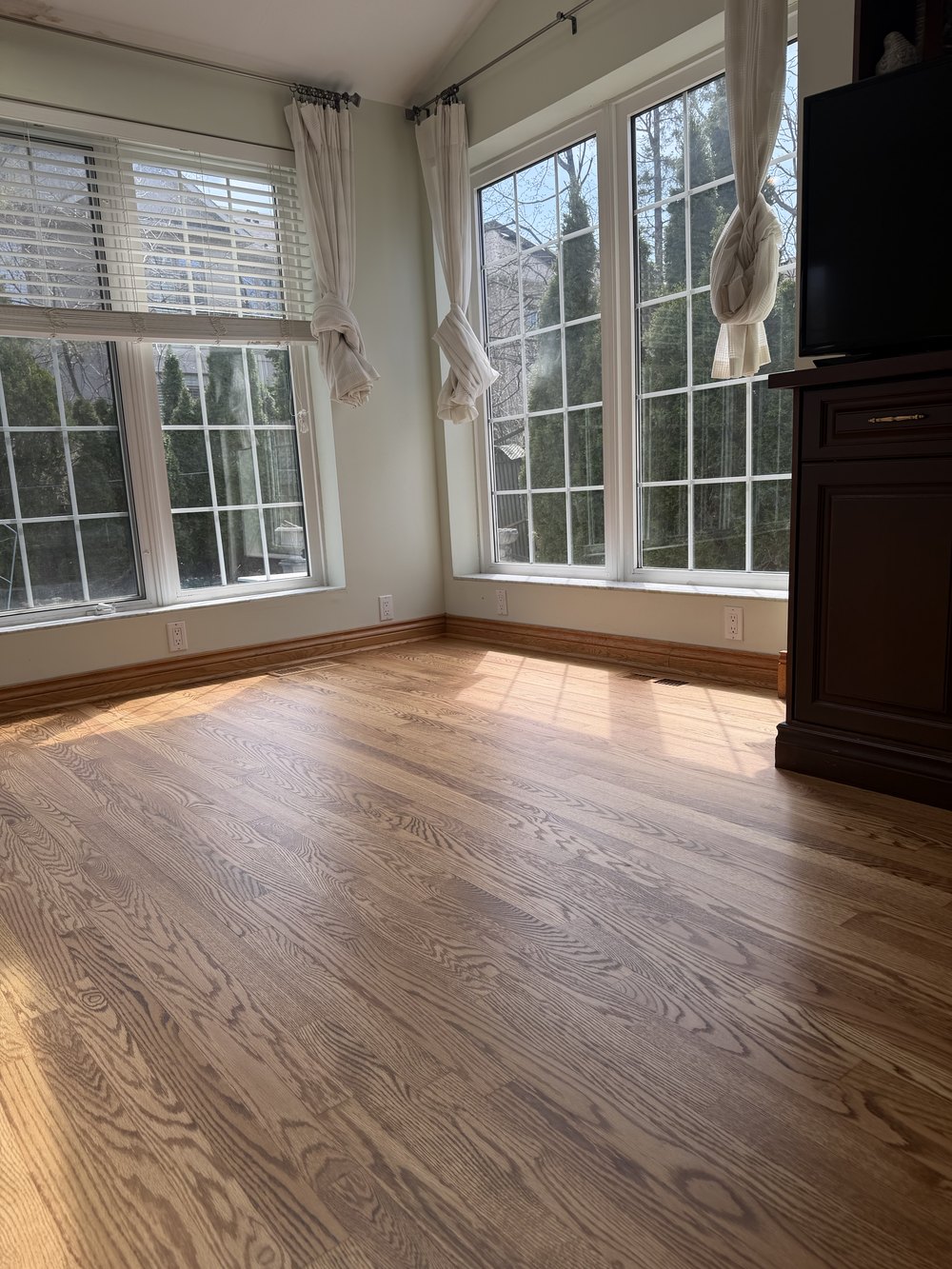 Stained hardwood floor after refinishing in North York